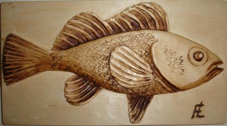 POISSON Août 2008 SEYSSEL 
